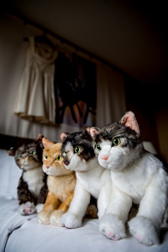 805A0913_Anita_and_Paul_Cafe_Brauer_Chicago_Sprung_Photo