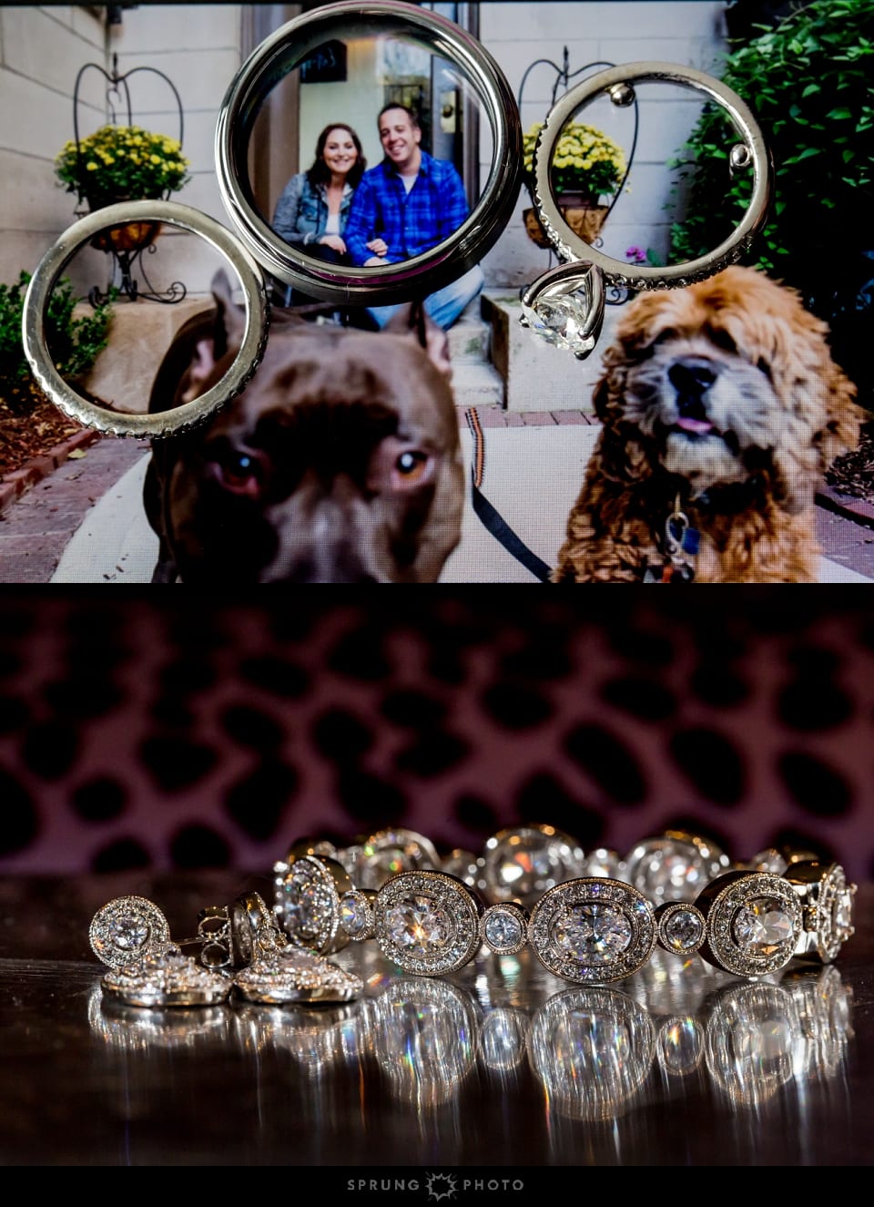 8J3A5656__Sprung_Photo