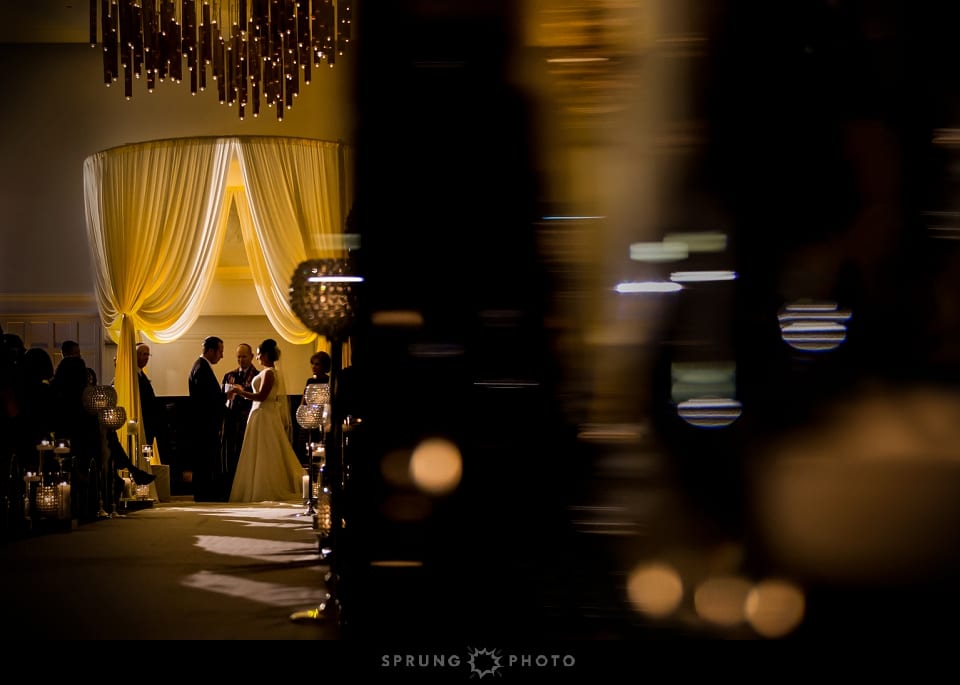 8J3A7098_edit-3__Sprung_Photo