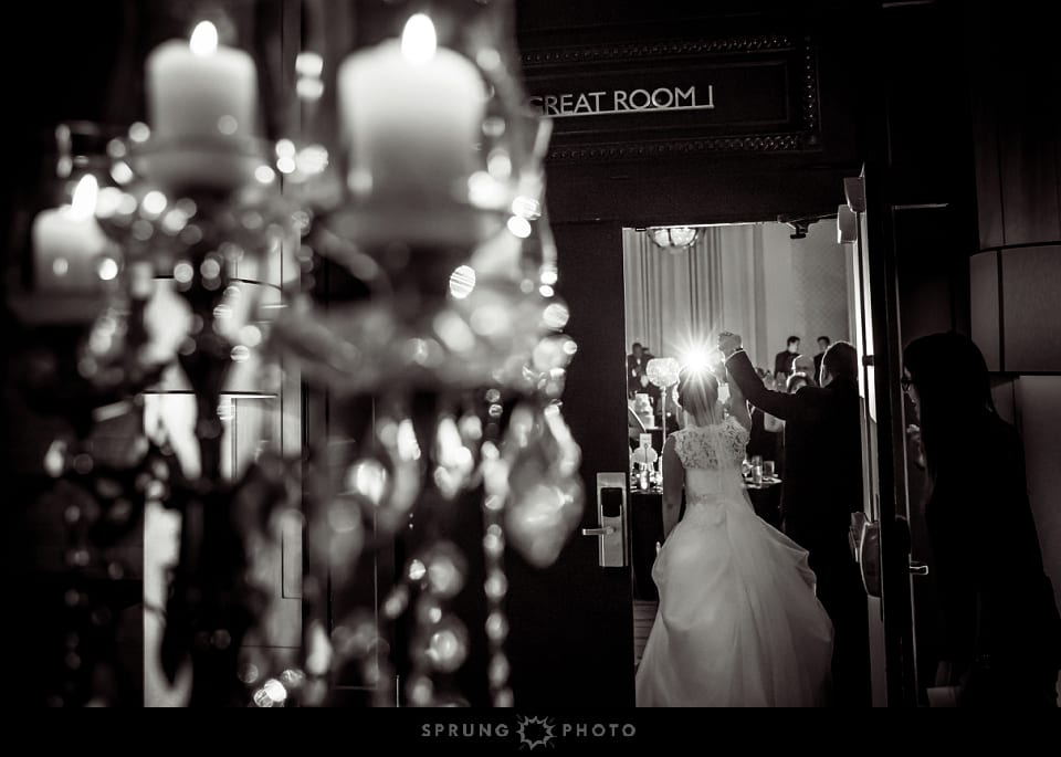 8J3A7345__Sprung_Photo