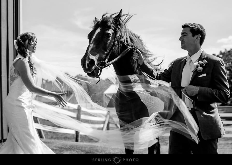 Heather_and_Dave_Oak_Hill_Farm_Wedding_Apple_River_Illinois_Sprung_Photo_24
