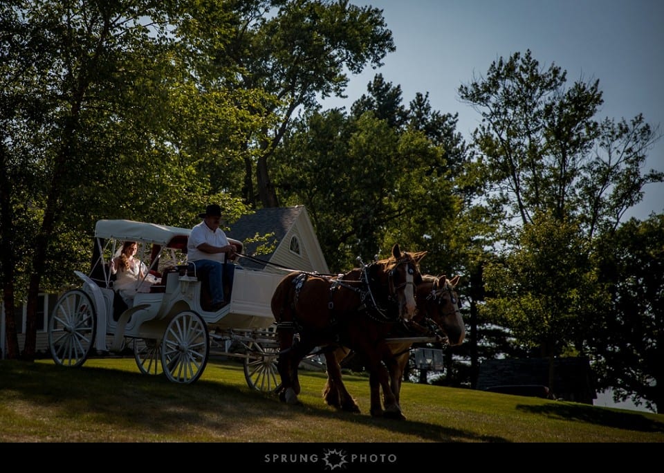 Heather_and_Dave_Oak_Hill_Farm_Wedding_Apple_River_Illinois_Sprung_Photo_25