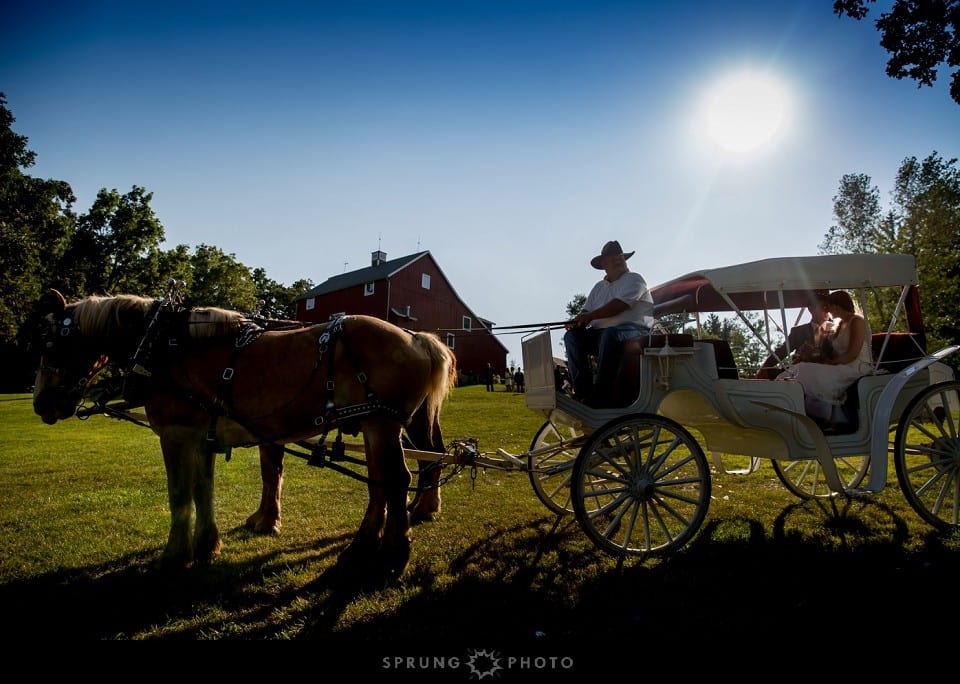 Heather_and_Dave_Oak_Hill_Farm_Wedding_Apple_River_Illinois_Sprung_Photo_32