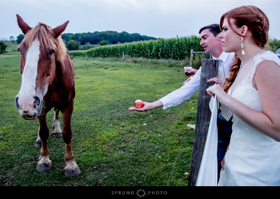 Heather_and_Dave_Oak_Hill_Farm_Wedding_Apple_River_Illinois_Sprung_Photo_38